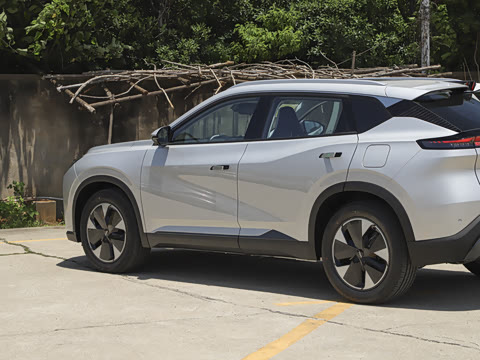 2025�� 205��������������