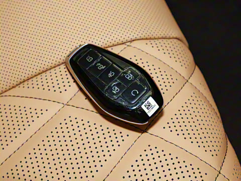 2025�� DM-i �Ǽݰ� 1100 ������