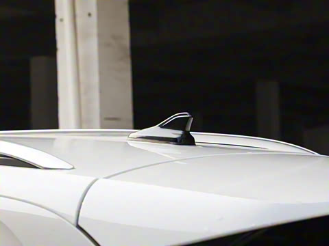 2021�� �Ŀ� ������PURE+��