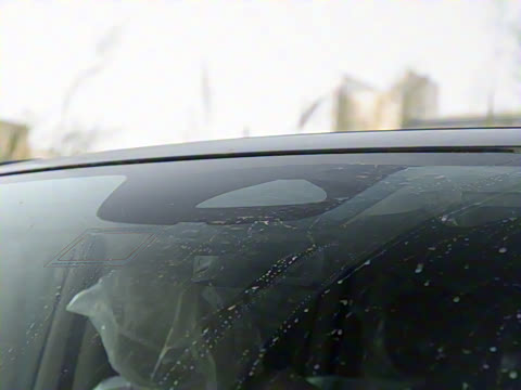 2024�� V 300 �캽��