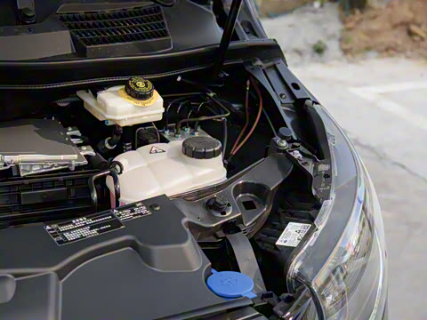 2024�� V 300 �캽��