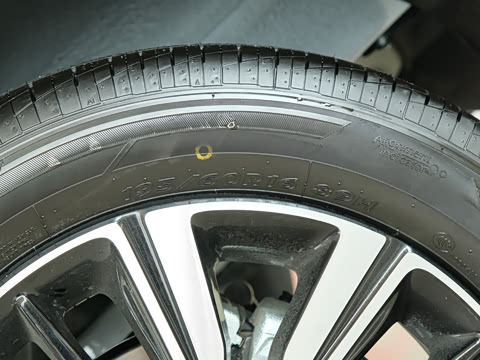 2021�� 1.4L �ֶ�Ȥ����