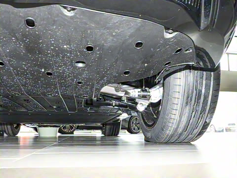 2024�� Max�����