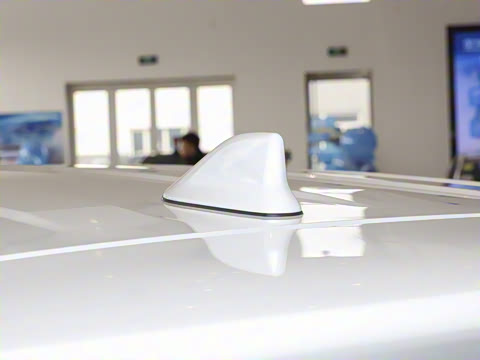 2024�� 2.0L ���ܵ��˫�� ������