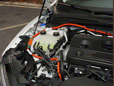 2025�� 1.5T EcoBoost E �춯 ������