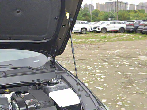 2023�� 1.5T ������