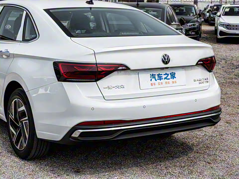 2025�� �Ŀ� 300TSI DSG��Խ��