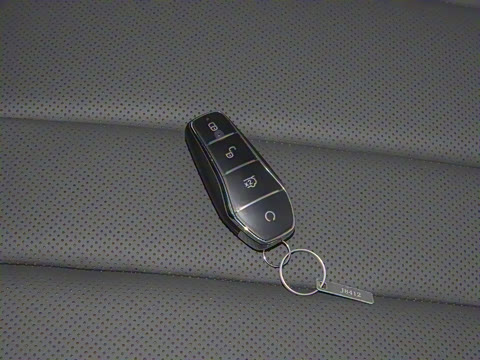 2025�� �ڶ��� �Ǽݰ� DM-i 75KM��Խ��