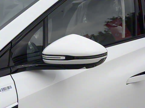 2025�� 550��ѡ��