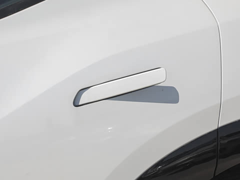 2025�� ���������� 650 ������