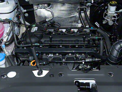 2025�� 1.5L �ֶ����ʰ�