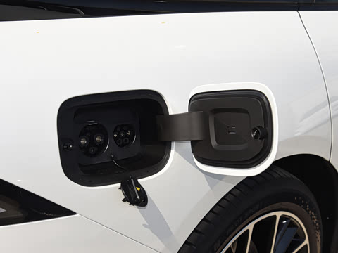 2025�� �������� Max �콢��