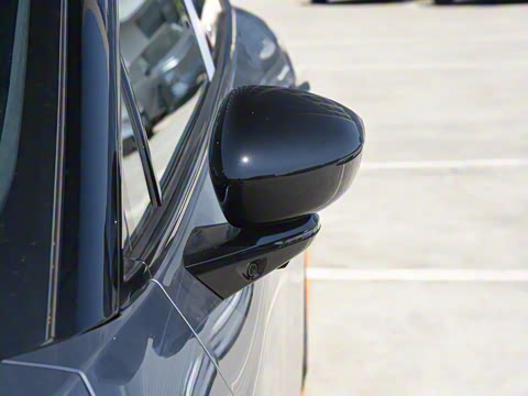 2025�� �������� Max �콢��