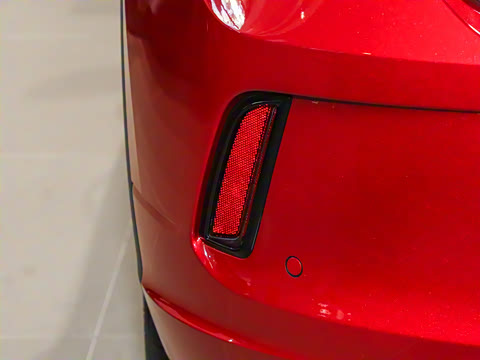 2025�� 300TSI DSG���������