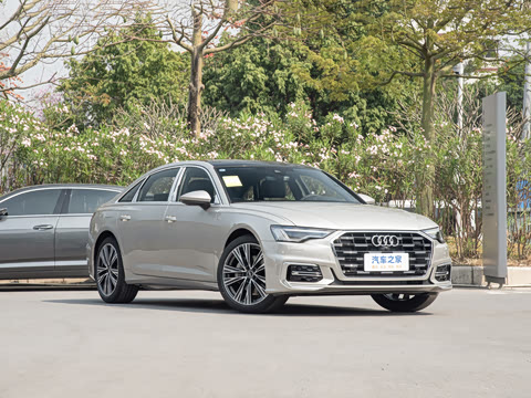 2025�� �Ŀ� 45 TFSI ��ѡ������