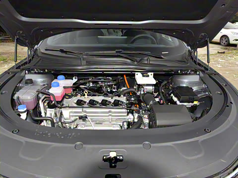 2025�� �������̰� 140��Ӣ��