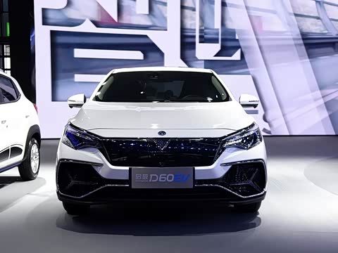 2019�� ������������