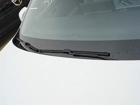 2025�� 450km ������