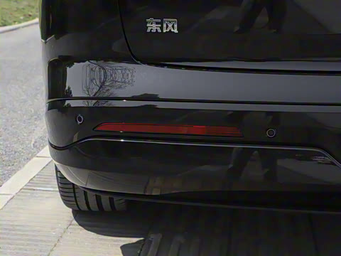 2025�� 636Max���Ȱ� 5��