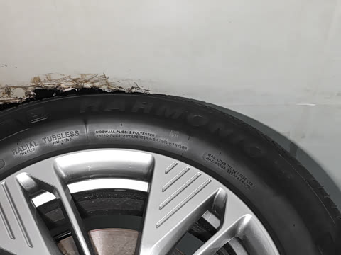 2025�� 565km ������