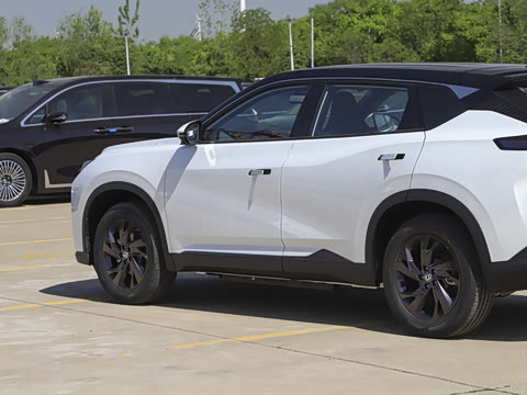 2025�� 518������