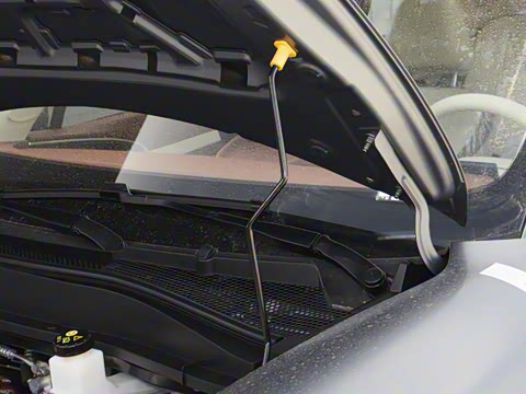 2025�� 430km ������