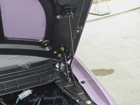 2025�� Pro 201km ���ư�