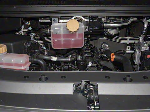 2025�� 110km���� ������5��