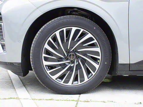 2025�� ���� 240 Max��������������ʻ