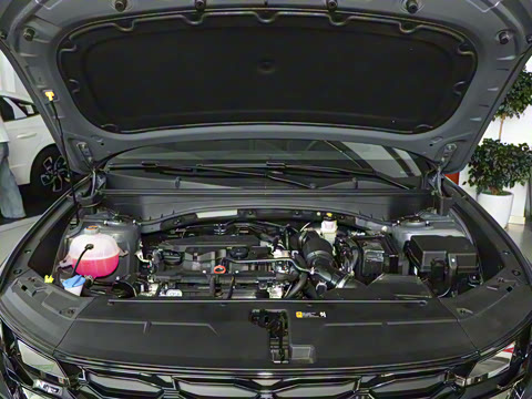 2025�� ;ʤL 1.5T ��Ӣ�� N-Line