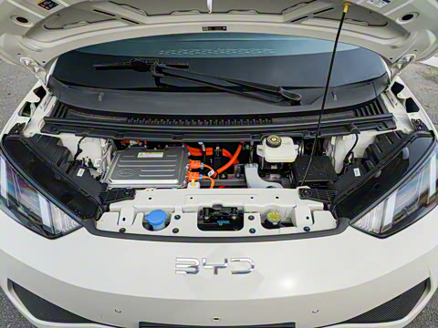 2025�� �Ǽݰ� 305km ���ɰ�