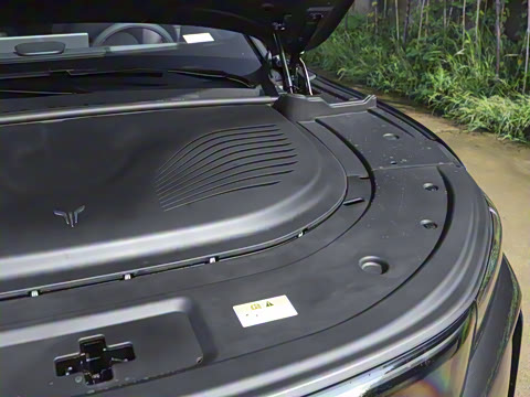 2025�� FREE+ ����Ǭ����