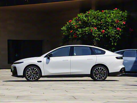 2025�� 650�����״��