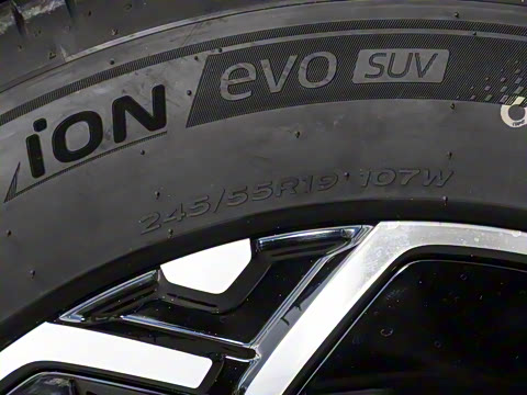 2025�� ��������������