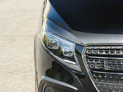 2025�� V 300 L ������˹ �˶���