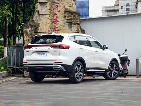 2025�� 1.5T �����ھ���