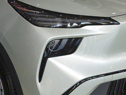 2025�� 565km ������