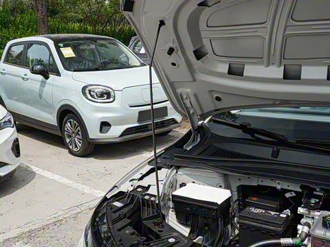 2025�� 550������