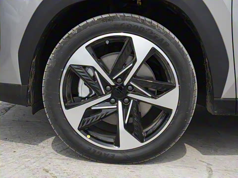 2025�� 3DHT 115km �ǽ���