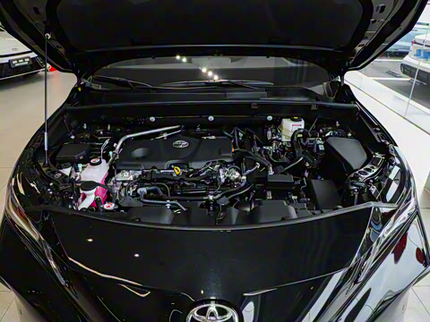 2024�� 2.5L���ܵ��˫�� ��������