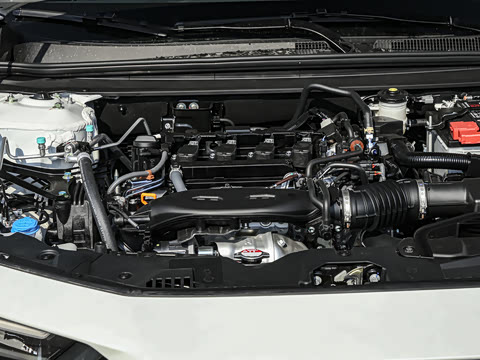 2025�� 260TURBO ���Ű�