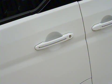 2021�� 1.5L �ͳ�����ʨ 7��