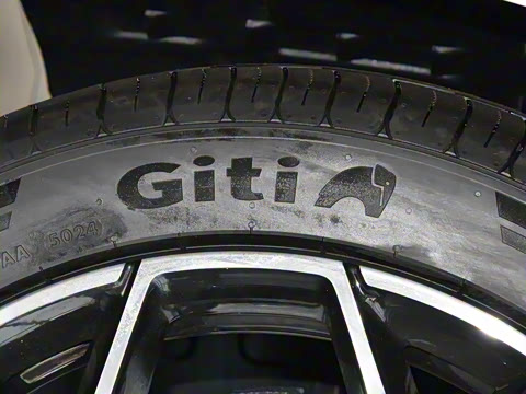 2025�� �������̰� 230�����