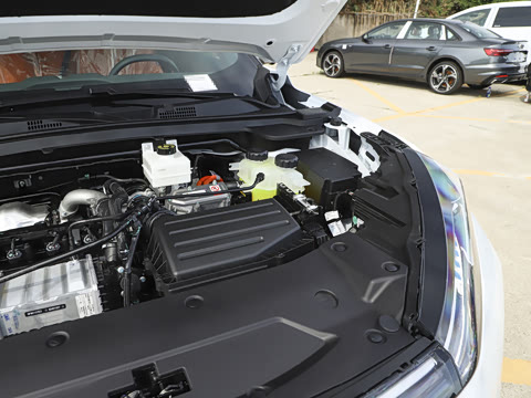 2025�� 205��������������