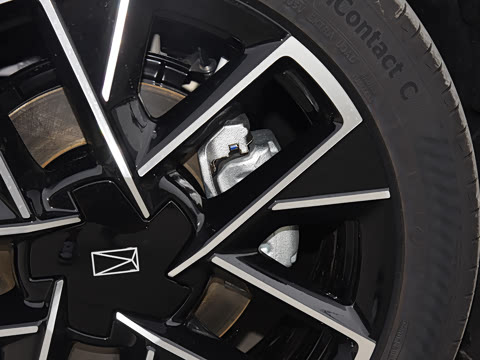 2025�� Max�����