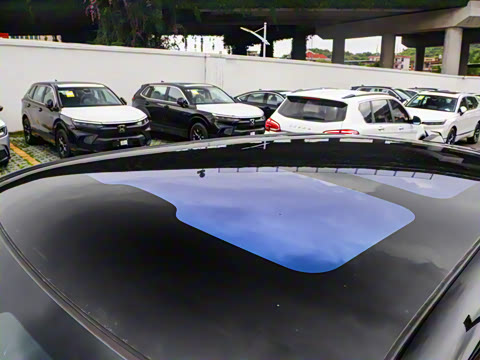 2025�� ����������Pro