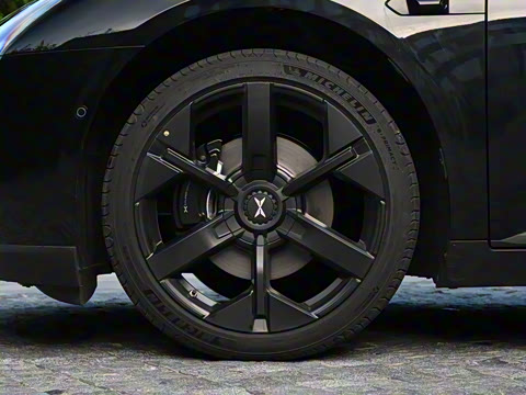 2025�� 502 ������ Max