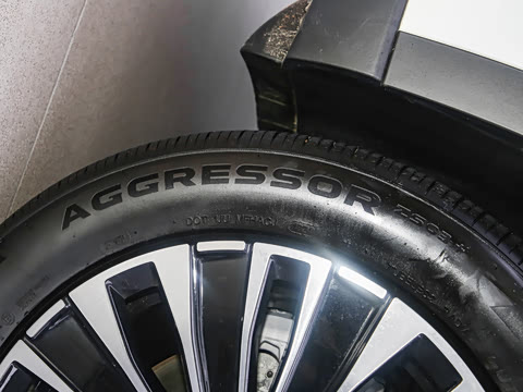 2025�� 1.5T 116km ������ 7��