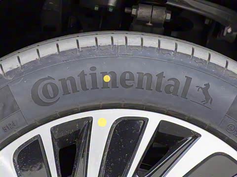 2025�� ���� 265 Pro�������ٸ�����ʻ