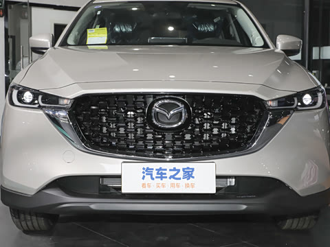 2024�� 2.0L �Զ�����������